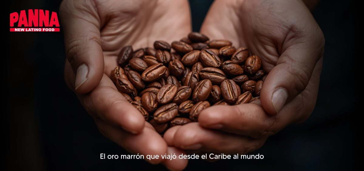 The Brown Gold That Traveled from the Caribbean to the World